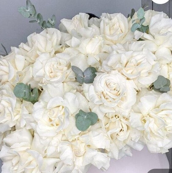 "White French Romanticism in box"