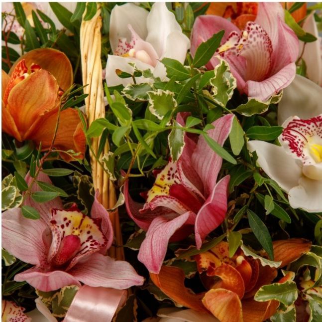 "Mysterious Charm" Basket with Beautiful Orchids