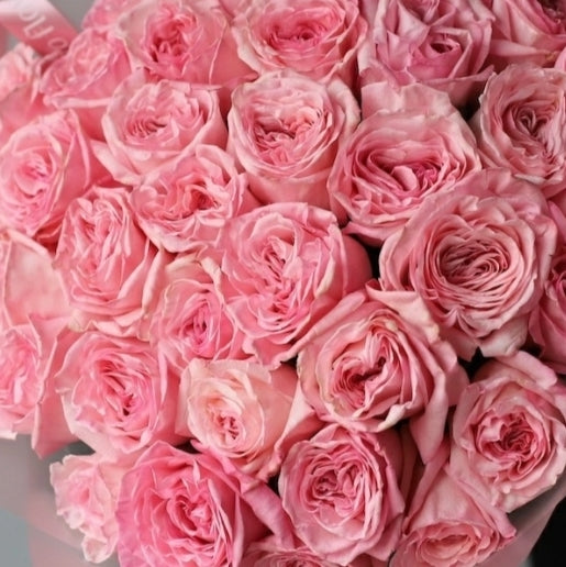 "Whisper of Romance" Pink Roses Bouquet