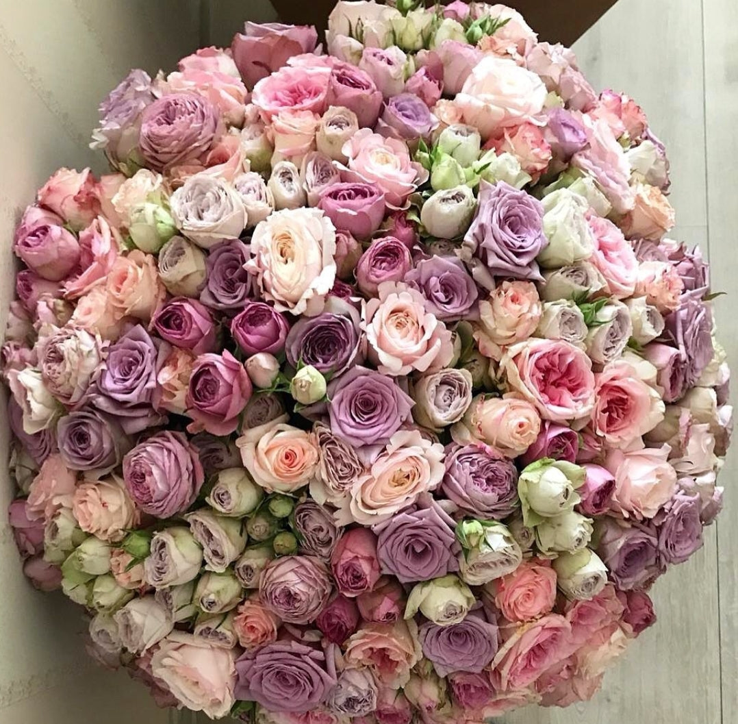 "Rainbow of Emotions: Floral Splendor"