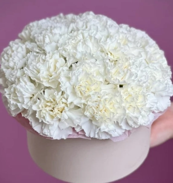 "Pure Heart: Box with White Carnation"