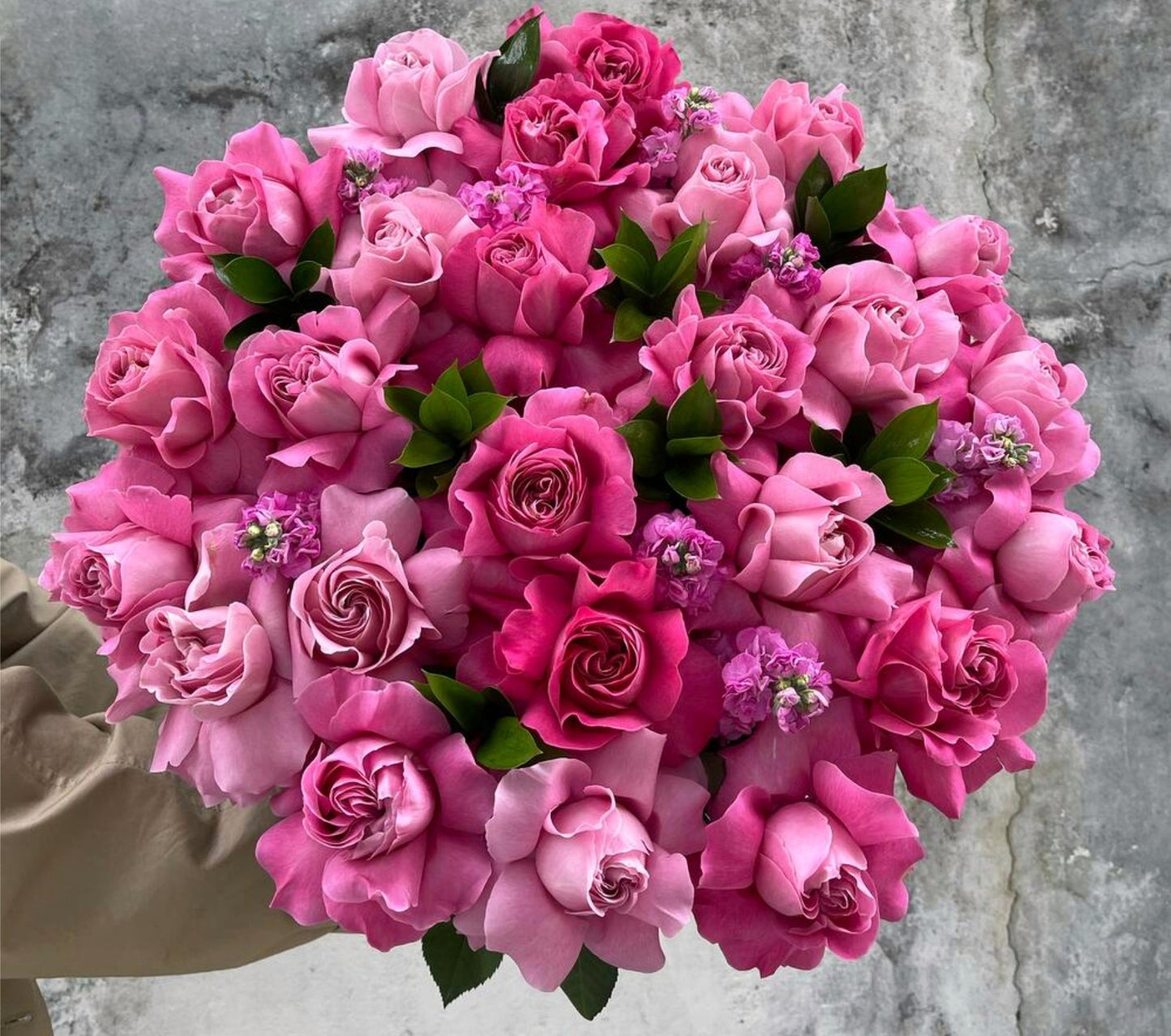 "Pink Dreams and the Scent of Matthiola"