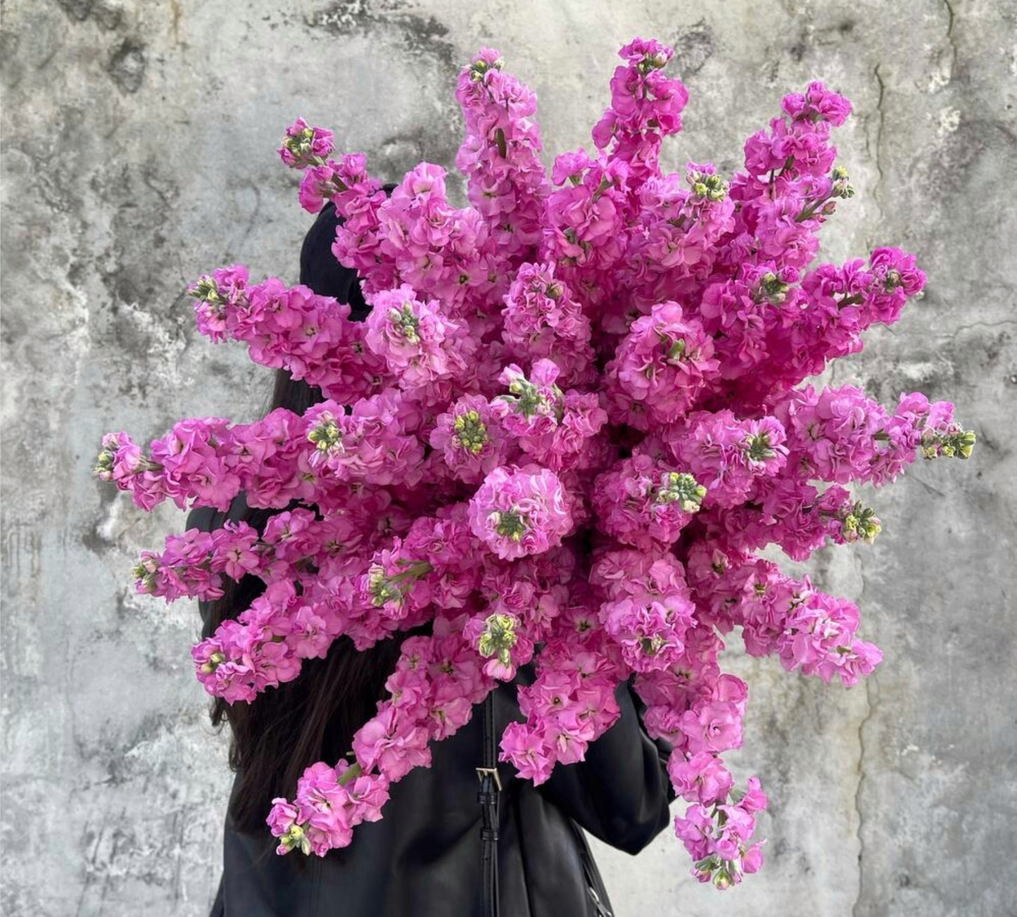 "Pink Matiola Charm"