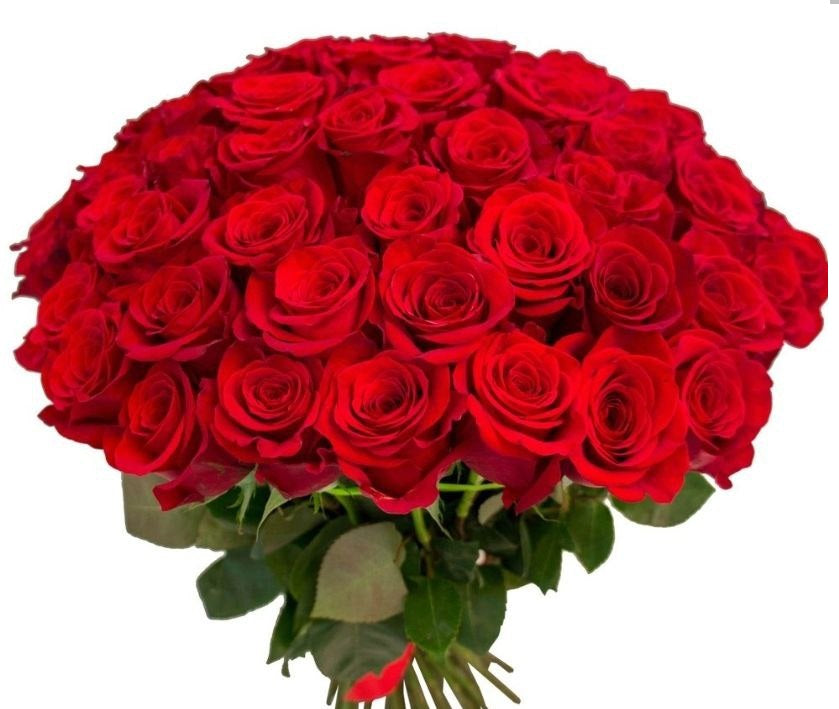 Roses - Red