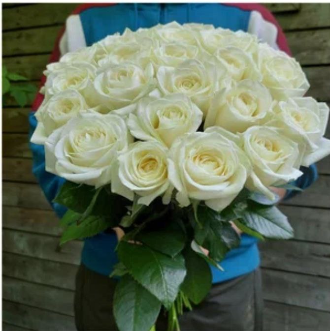 "Bride's Kiss" White Roses Bouquet