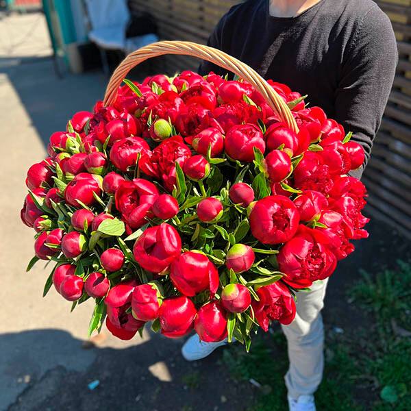 "Royal Passion: Basket with Red Peonies"