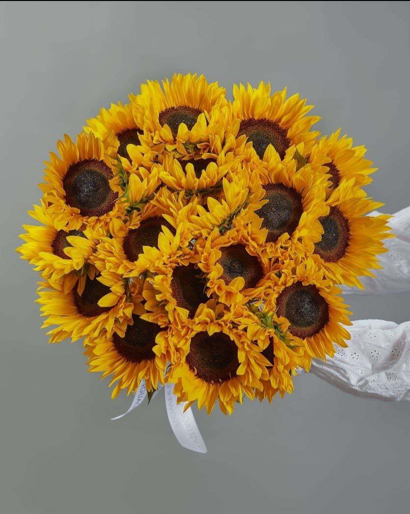 Mono Sunflowers