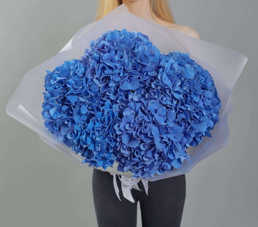 Hydrangea - Blue