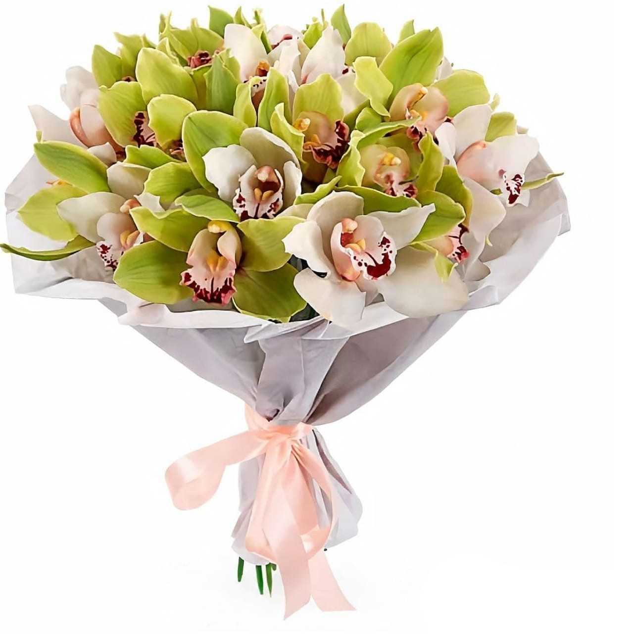 Orchids - Beige