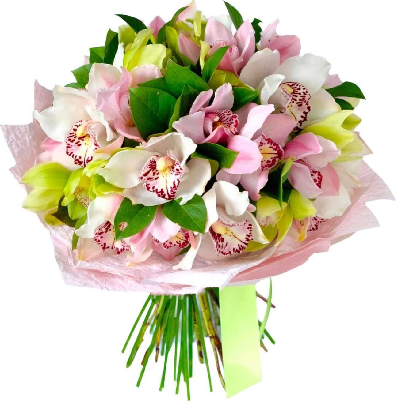 Orchids - Mix