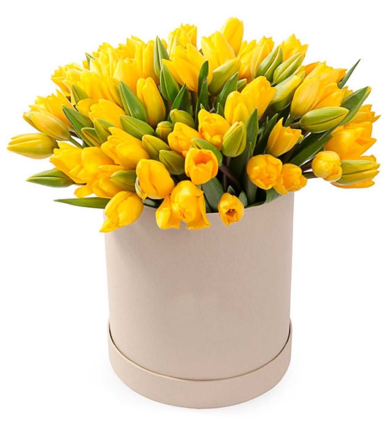Flower Box - SUNNY DELIGHT