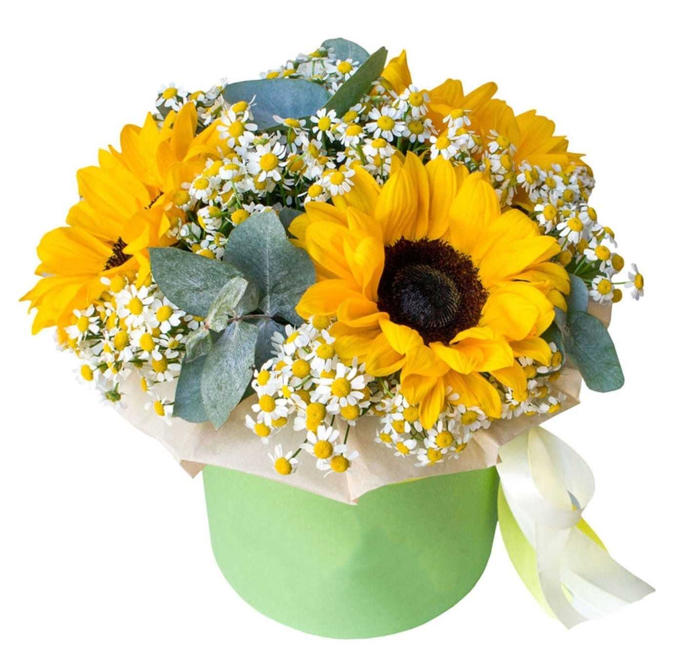 Flower Box - SUN-KISSED GARDEN