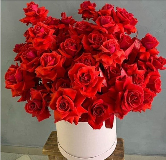 "Royal Red Roses"