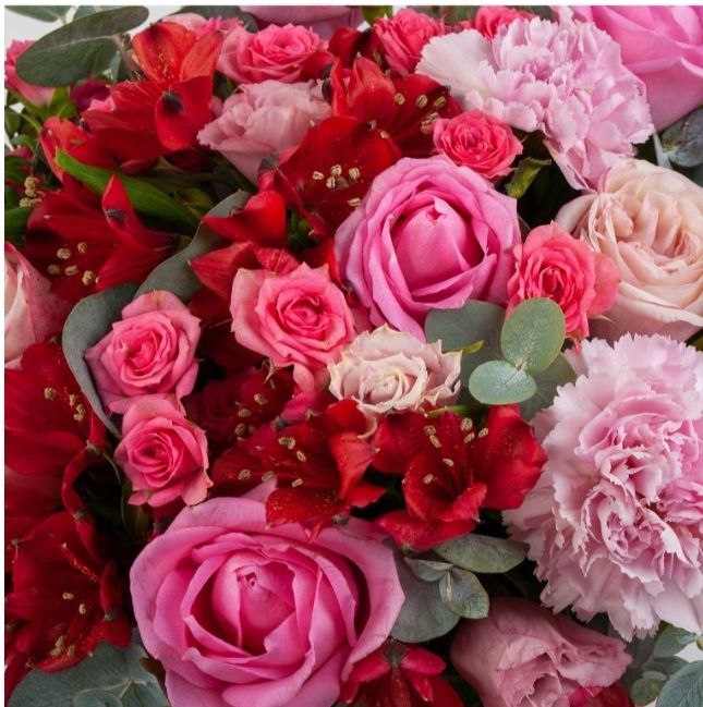 "Hideaway of Tenderness" A Box pink roses