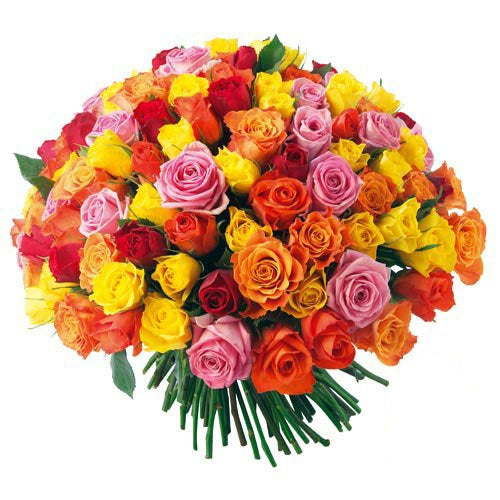 Special offer 50 beautiful roses in a vase of any color