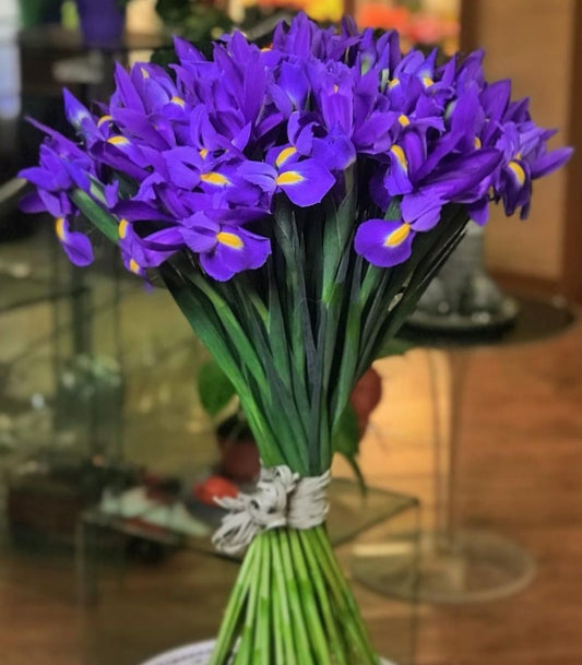 Irises - Purple