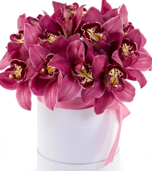 "Pink Enchantment: A Box of Magical Orchids"