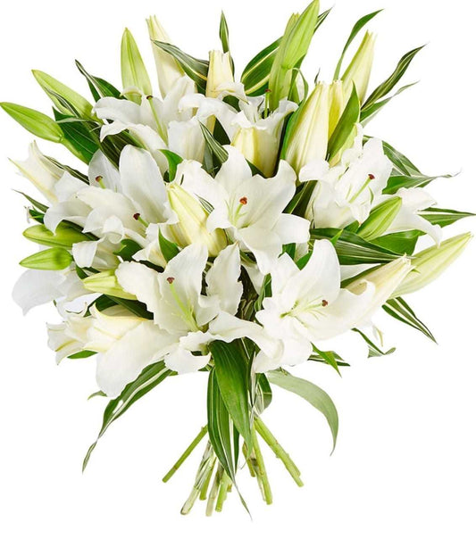 Lilies - White