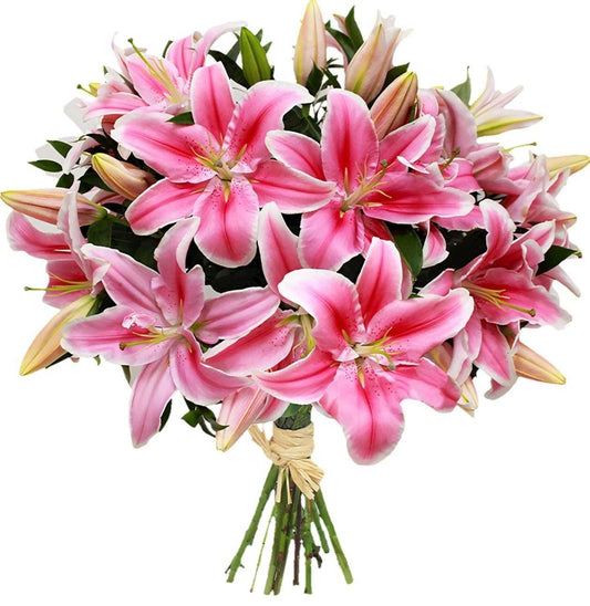 Lilies - Pink
