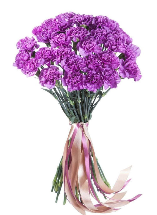 Carnations - Lavender Purple