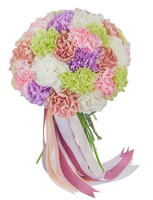 Carnations - Mixed Color