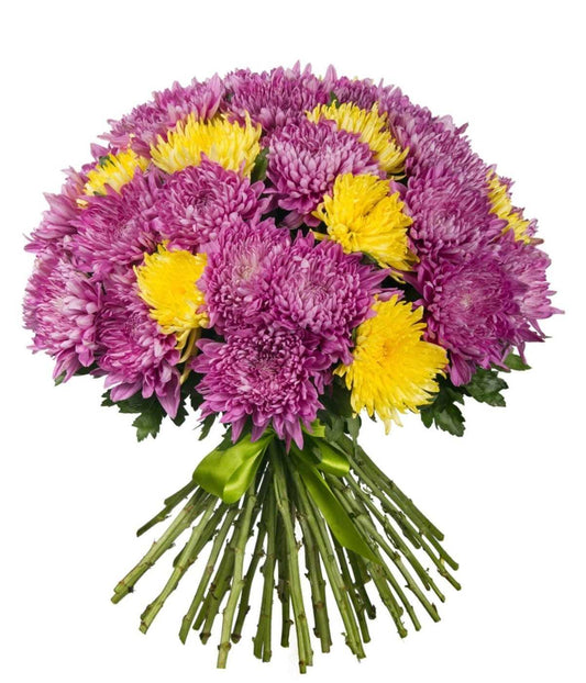 Chrysanthemums - Pink & Yellow