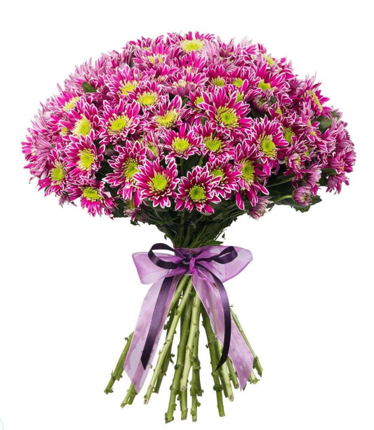 Chrysanthemums - Pink